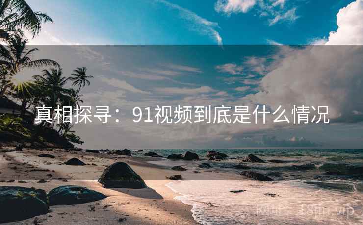 真相探寻：91视频到底是什么情况