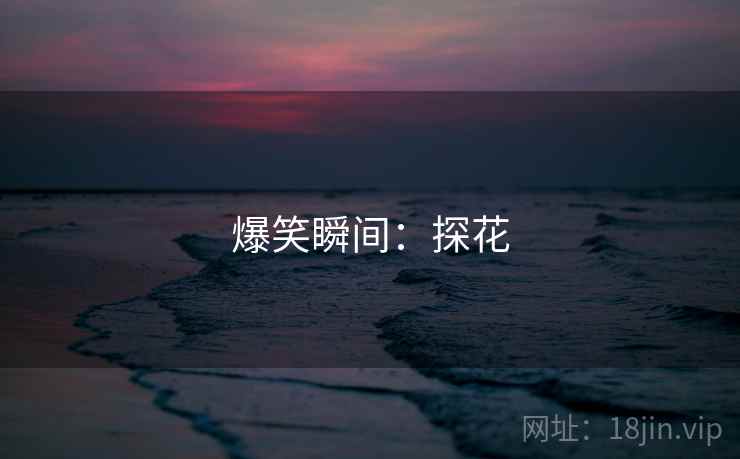 爆笑瞬间:探花