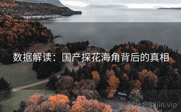 数据解读：国产探花海角背后的真相