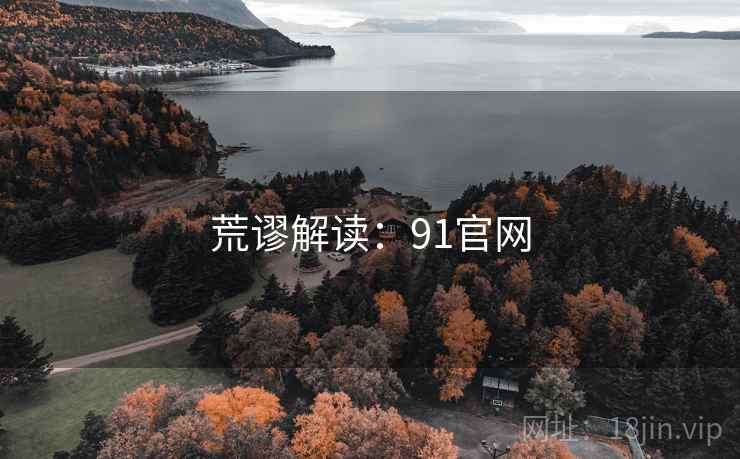 荒谬解读：91官网