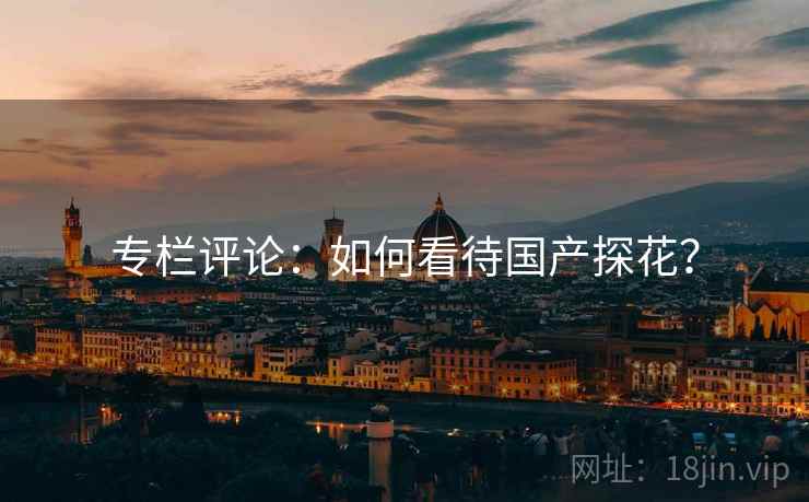 专栏评论：如何看待国产探花？